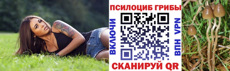 Псилоцибиновые грибы Magic Shrooms Светлый